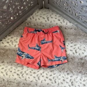 Tea Collection swim trunks boys 3T whale shark tropical beach summer vacation